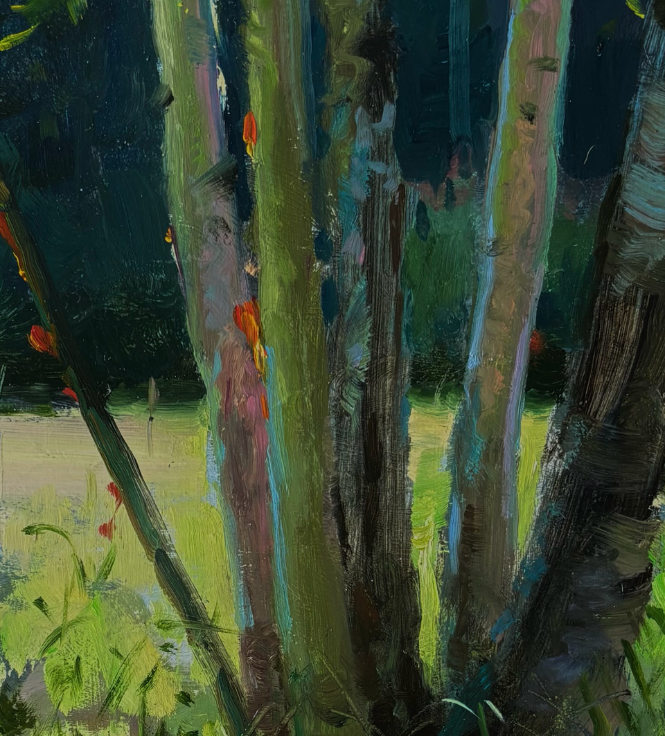 Detail of Birch
