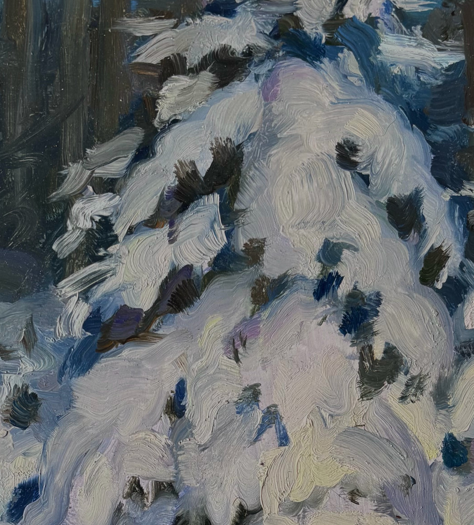 Detail of Heavy Snow