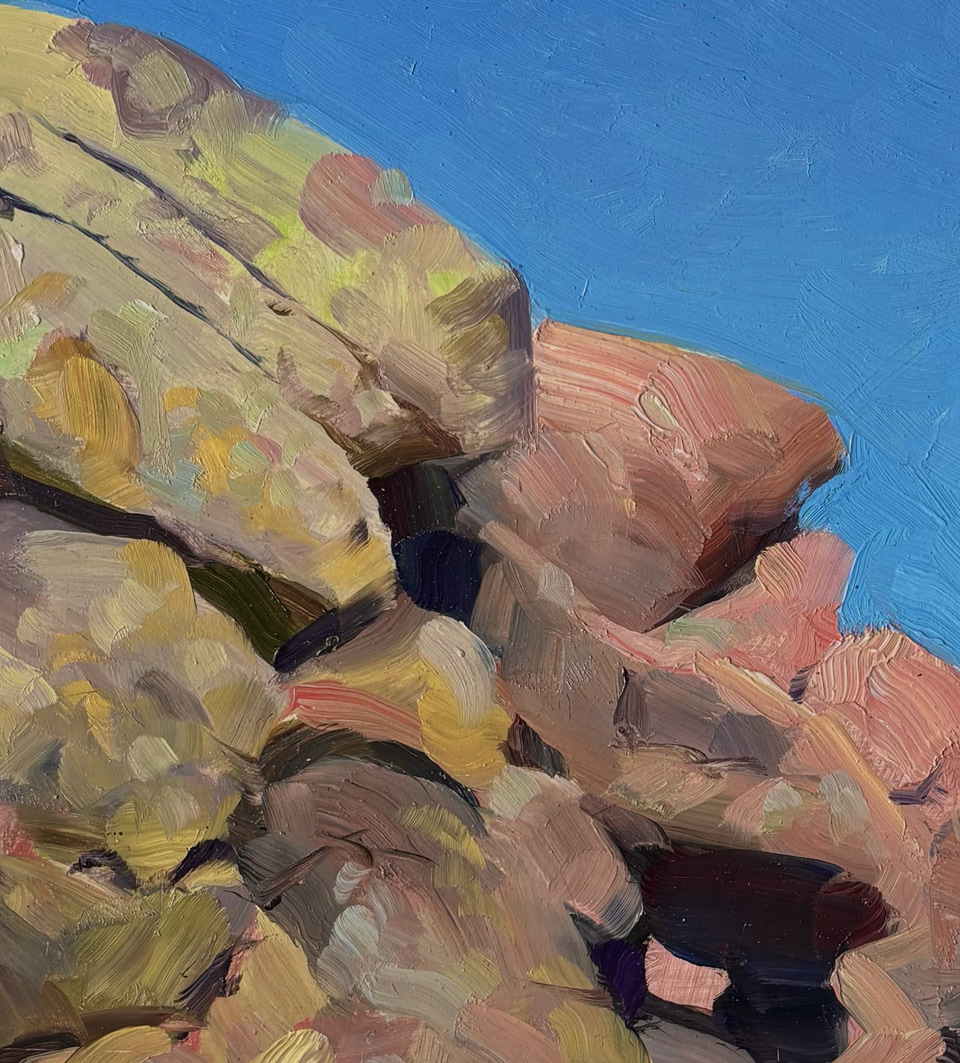 Detail of Red Rocks