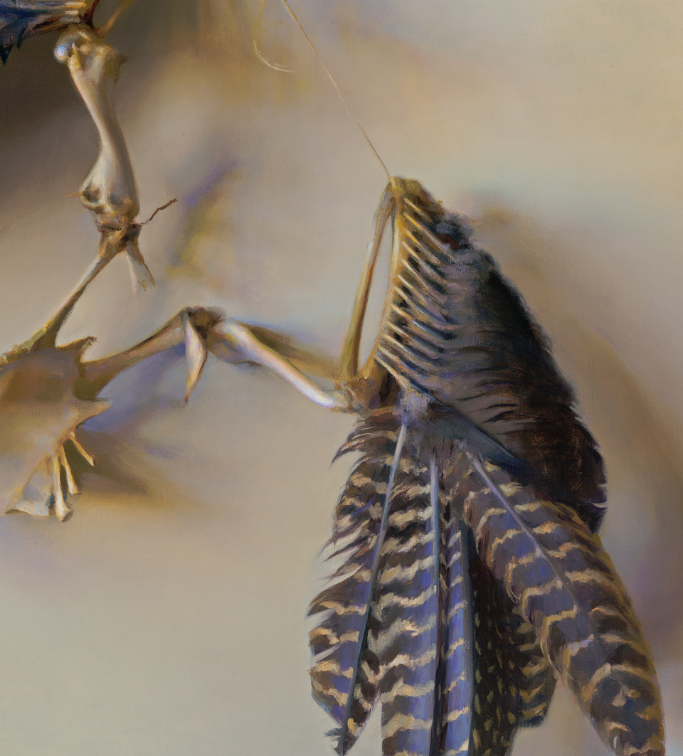 Detail of Suspended Flight
