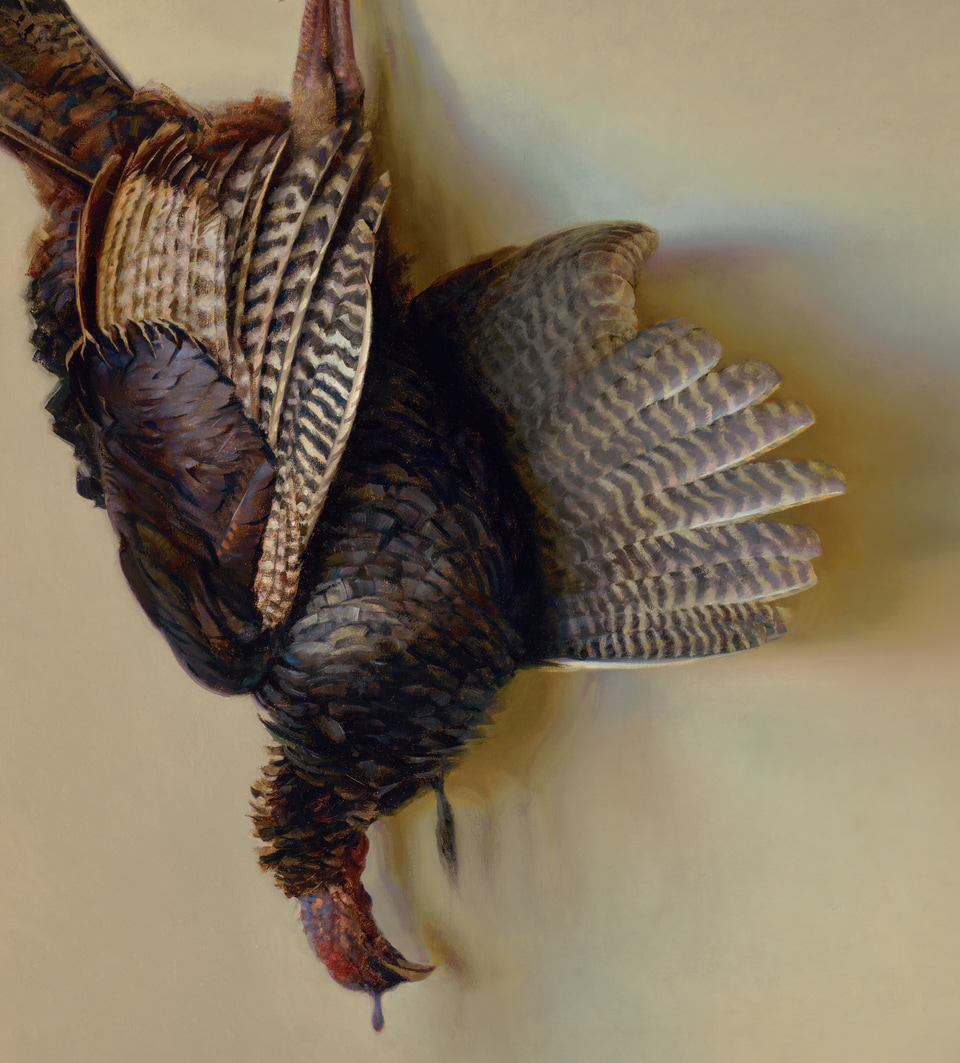 Detail of Wild Turkey
