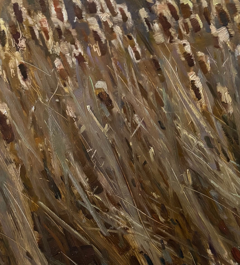 Detail of Winter Cattails