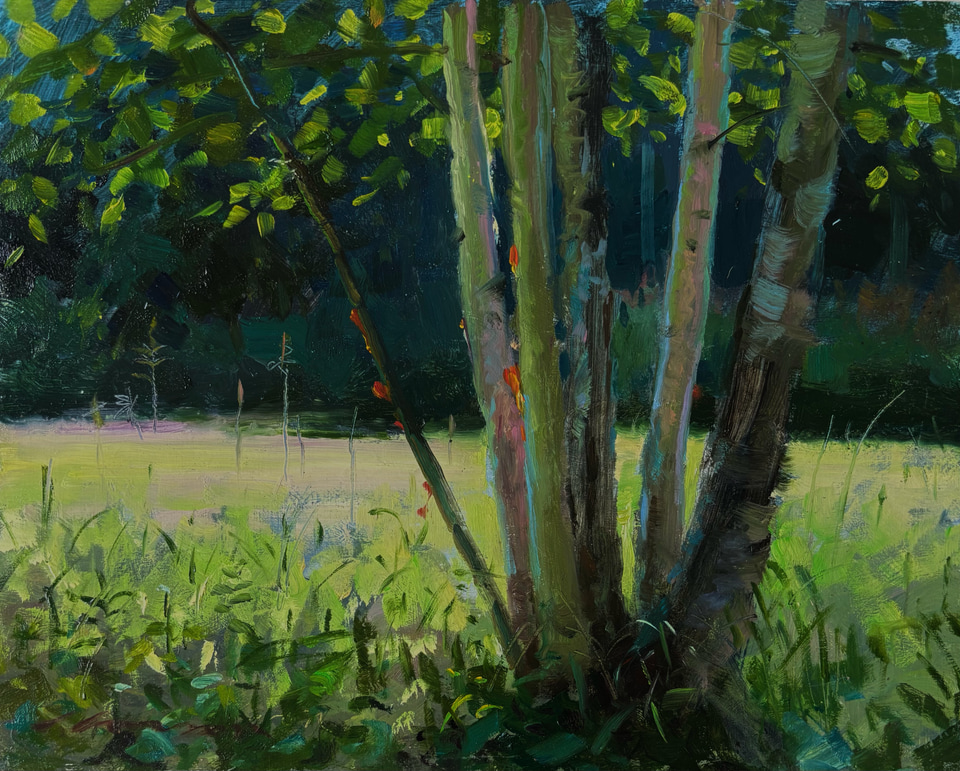 Birch, a painting by Jeffrey T. Larson