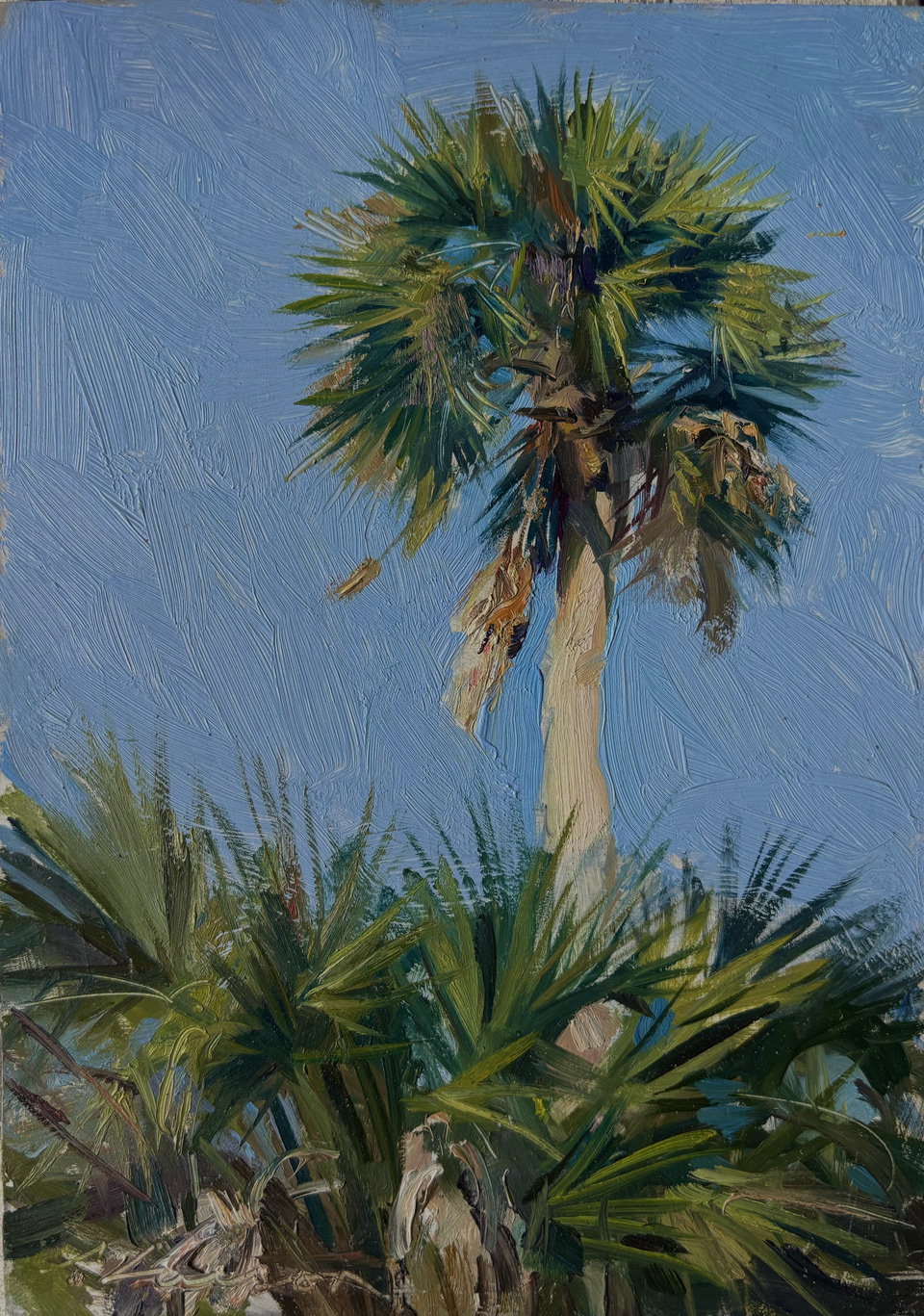 Palm Tree, a painting by Jeffrey T. Larson